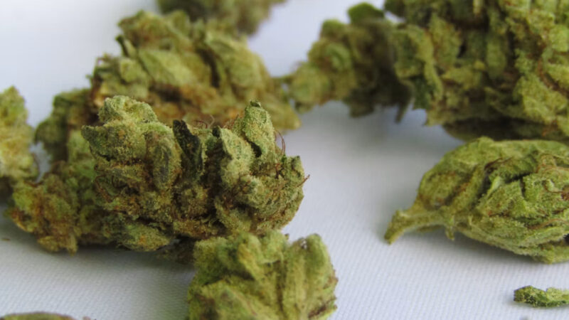 How to get weed delivered in Sheffield A Clear UK Guide
